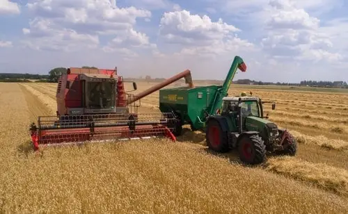combine harvester in a field 
