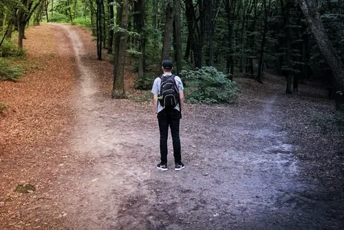 man standing at a split path in a woods