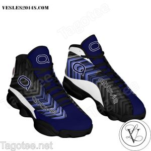 AbbVie Air Jordan 13 Shoes