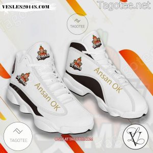 Ansan OK Volleyball Air Jordan 13 Shoes