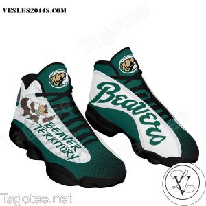 Bemidji State Beavers Air Jordan 13 Shoes