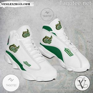 Charlotte 49 ERS NCAA Logo Air Jordan 13 Shoes