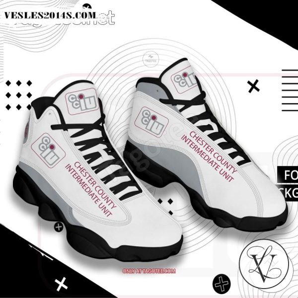 Chester County Intermediate Unit Logo Air Jordan 13 Shoes