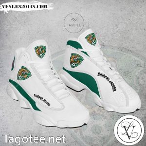 Chiapas FC Air Jordan 13 Shoes