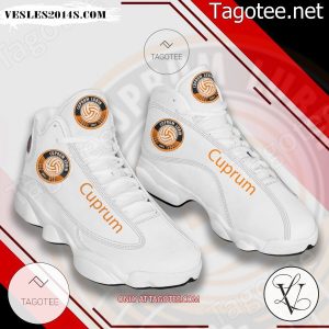 Cuprum Volleyball Air Jordan 13 Shoes