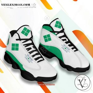 Delaware Technical & Community College Logo Air Jordan 13 Shoes