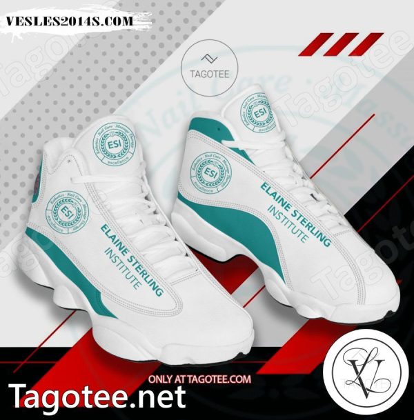 Elaine Sterling Institute Logo Air Jordan 13 Shoes