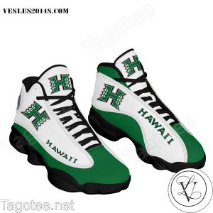 Hawaii Rainbow Warriors Air Jordan 13 Shoes