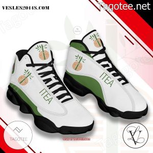 Institute of Taoist Education and Acupuncture Logo Air Jordan 13 Shoes