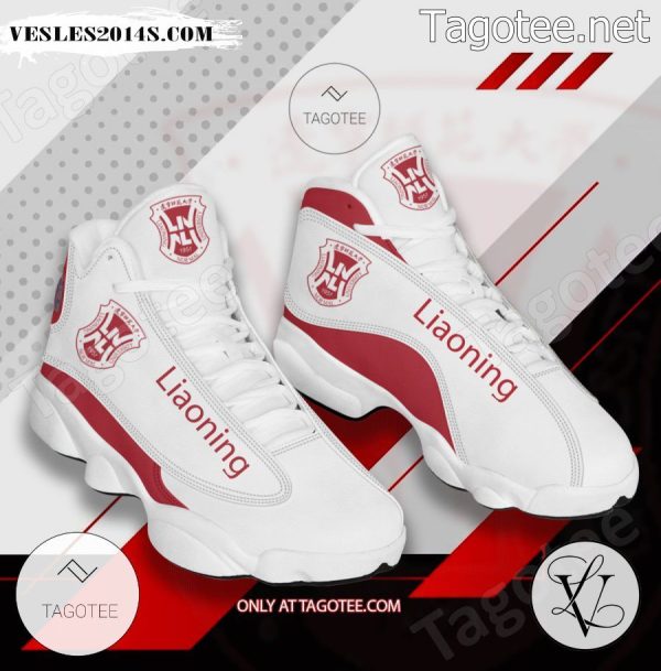 Liaoning Volleyball Air Jordan 13 Shoes