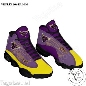 Minnesota State Mavericks Air Jordan 13 Shoes