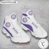 Paine College Logo Air Jordan 13 Shoes