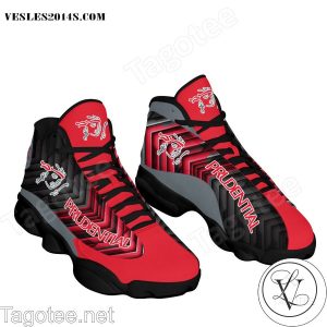 Prudential Financial Air Jordan 13 Shoes