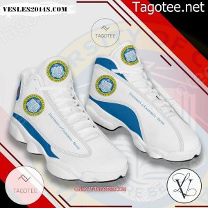 University of California-Irvine Air Jordan 13 Shoes