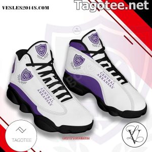 University of Central Arkansas Air Jordan 13 Shoes