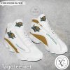 Utah Grizzlies Club Air Jordan 13 Shoes